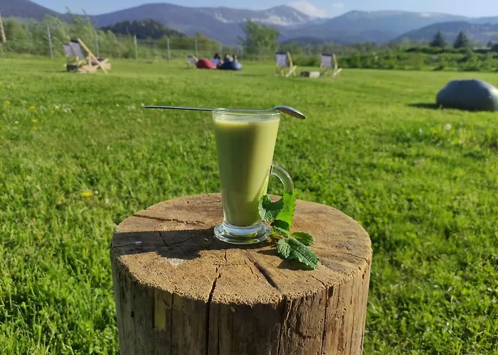 Camp66 펜션 카르파츠