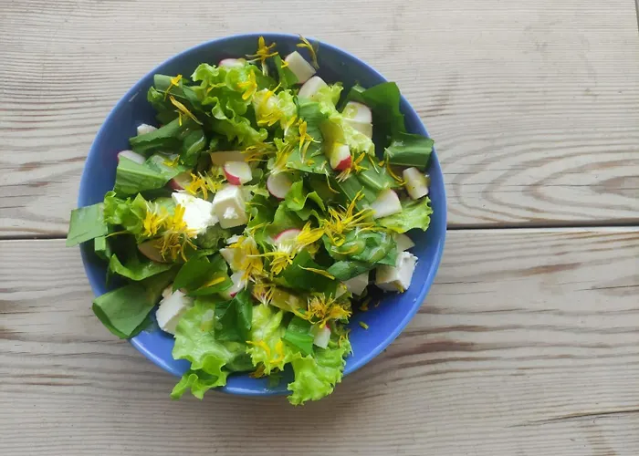 Camp66 Prázdninový dům *